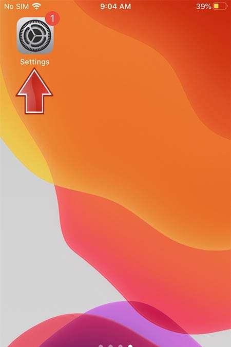 APPLE iPhone 12 Pro Max Settings