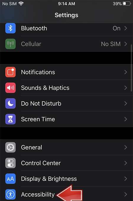 APPLE iPhone 12 Pro Max Accessibility