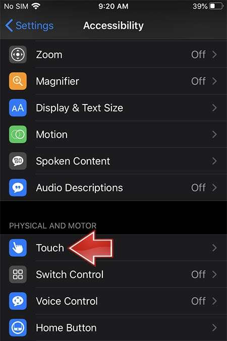 APPLE iPhone 12 Pro Max Touch settings